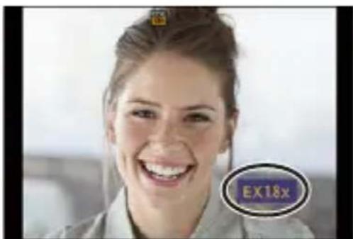 EX18x