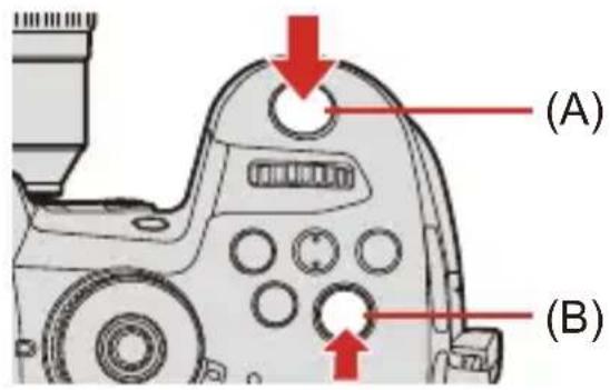 (A) (B)