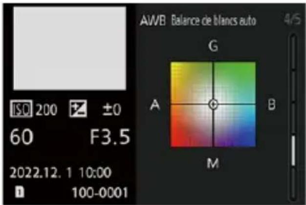 AWB Balance de blancs auto 4/5 ISO 200 ±0 60 F3.5 2022.12.1 10:00 100-0001 G A B M