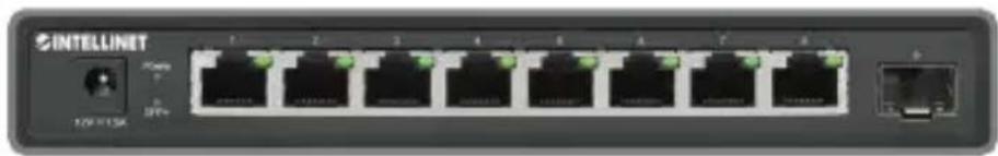 Intellinet 562096 - Connexions & Indicateurs - 1