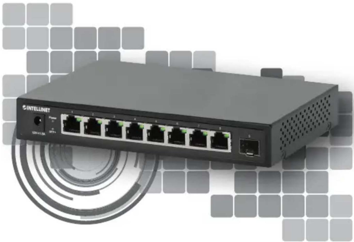 Intellinet 562096 - Ethernet Ports and 1 SFP+ Uplink Instructions - 1