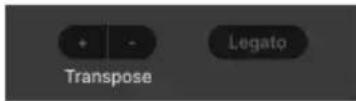 Arturia JUP-8000 V - Transpose - 1