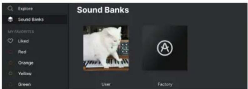 Arturia JUP-8000 V - Sound Banks - 1