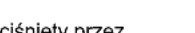 OASE ProfiClear Premium TF-XL - CL: Czas czyszczenia "Cleaning" - 5