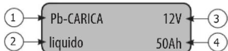 GYS Gysflash 123.12 CNT FV - MODALITA' CARICA - 4