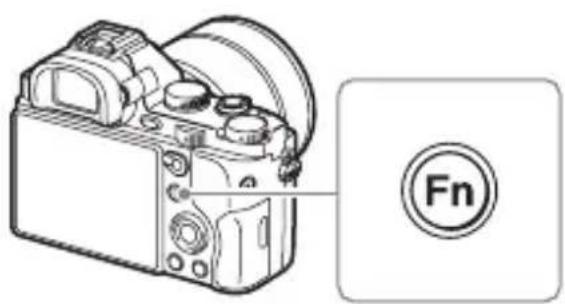 Fn