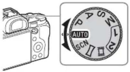 AUTO SCN