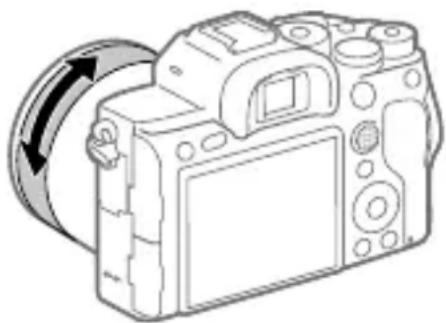 SONY Alpha ILCE-7RM4 - Direkte manuelle Fokussierung (DMF) - 1