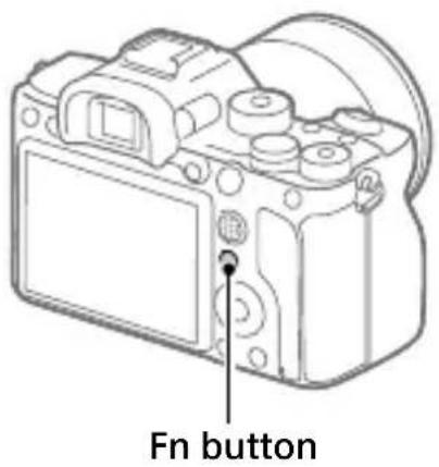 SONY Alpha ILCE-7RM4 - Hint - 1