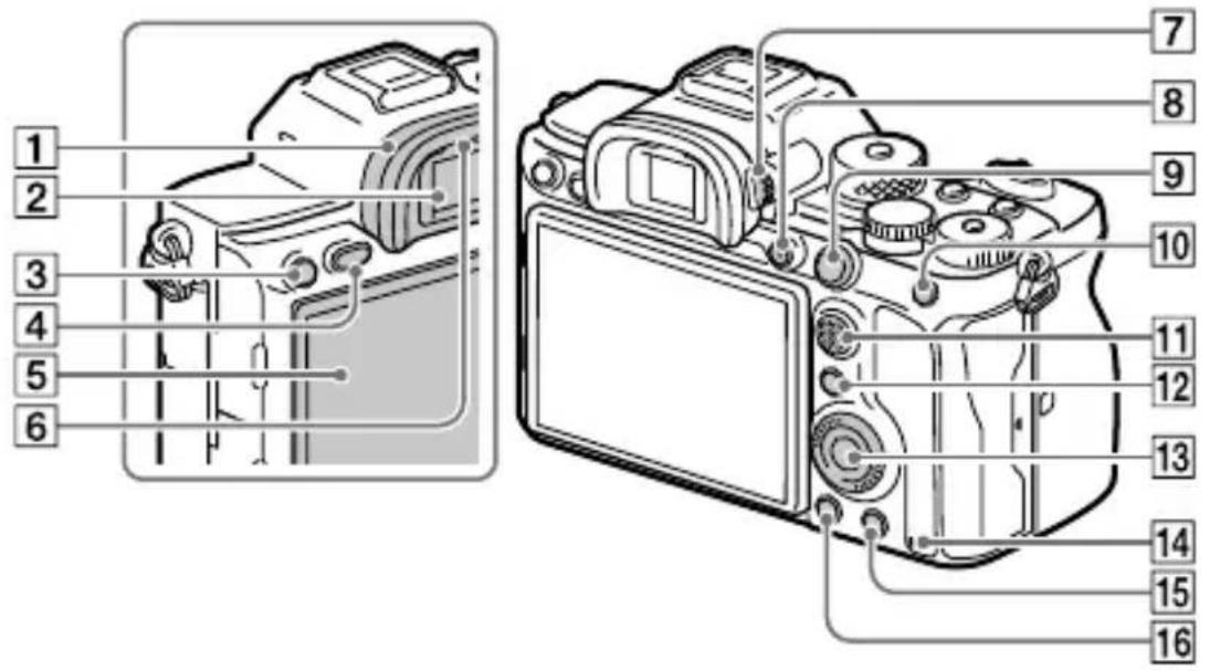 SONY Alpha ILCE-7RM4 - Widok z tyłu - 1