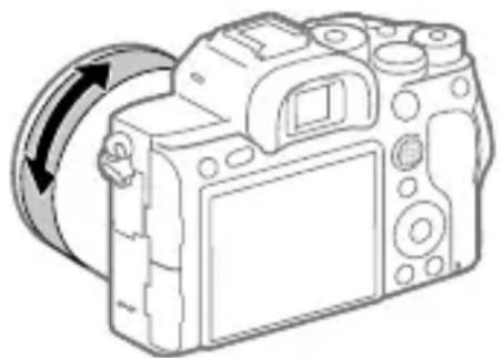 SONY Alpha ILCE-7RM4 - Mise au point manuelle directe (DMF) - 1