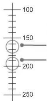 100 150 200 250