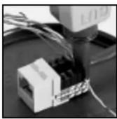 Leviton 5G108-BL5 - Conector Instantáneo GigaMax ^MR 5e - 2