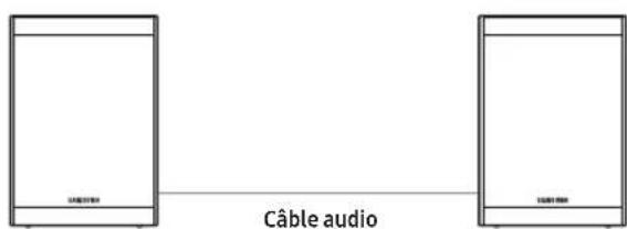 SAMSUNG SWA-9250S - Branchez les câbles de l'enceinte surround - 2