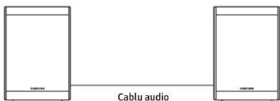 SAMSUNG SWA-9250S - Conectarea cablurilor difuzoarelor surround - 2