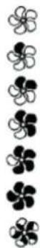 EDILKAMIN YANA 7 EVO - \section*{Caracteristiques :} - 12