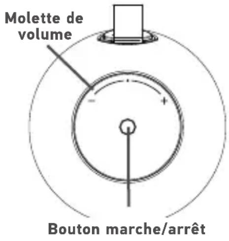Acoustic Research SP7V - Arrière - 1