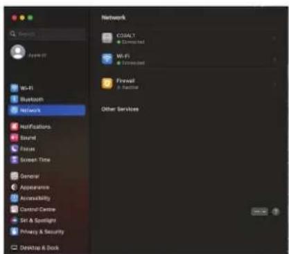 Midas Cobalt - Uso Estendido-Interface de Rede - 1