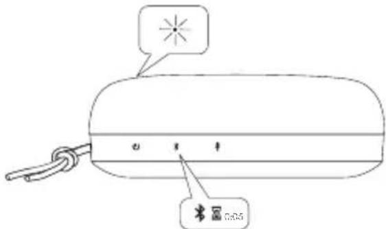 BANG & OLUFSEN Beosound A1 3rd Generation - DOWNLOAD BANG &amp; OLUFSEN APP - 8