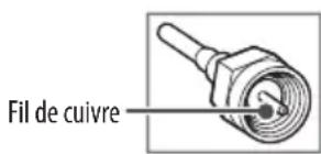 LG 55QNED85AYA - Antenne/cable - 1