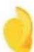 Gourmia GAF486 - TURN OFF AIR FRYER - 14