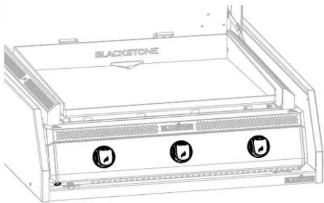 Blackstone 6029 - AVERTISSEMENT - 1