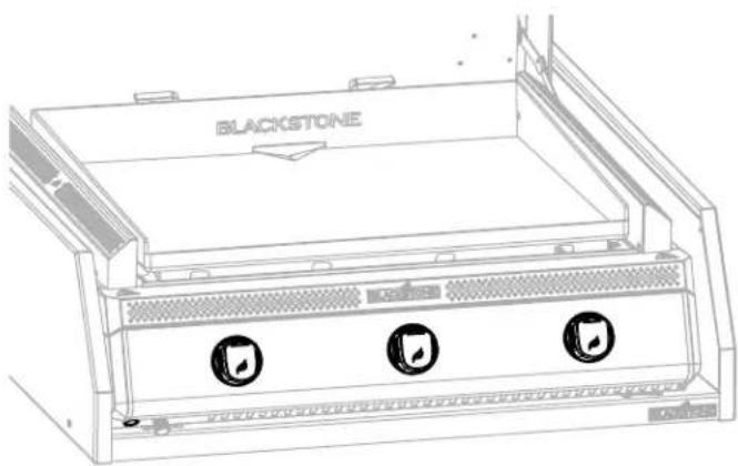 Blackstone 6029 - WARNING - 1