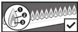 Blackstone 6138 - AVERTISSEMENT - 2