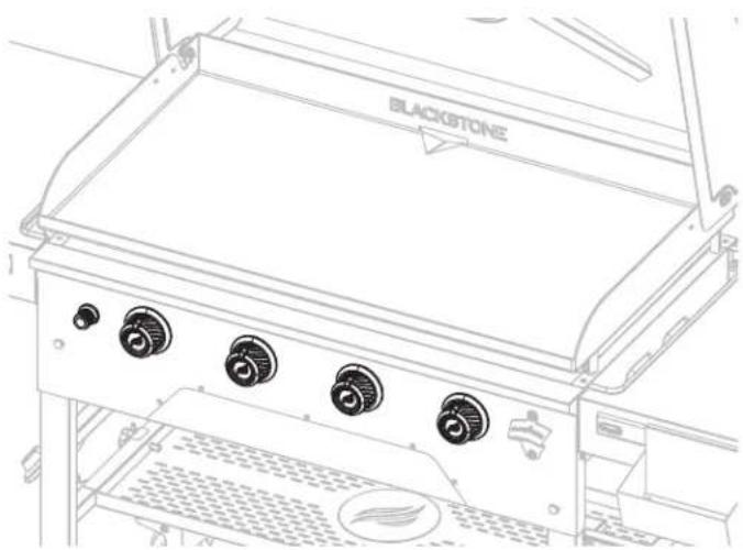 Blackstone 2322 - CHECK VALVES - 1