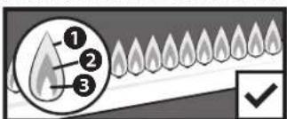 Blackstone 6303 - ALWAYS CHECK BURNER FLAME BEFORE USE. - 1