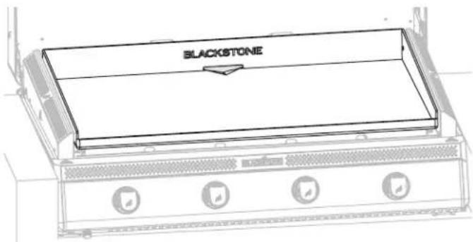 Blackstone 6303 - IF IGNITION DOES NOT OCCUR IN 5 SECONDS: - 1