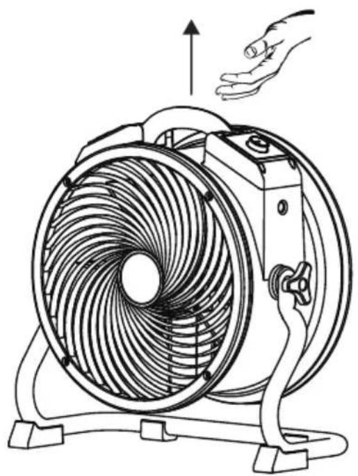 XPower Daisy-2100 - Transporte - 1