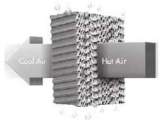 Portacool Apex PACA40001A1 - INTRODUCTION - 1