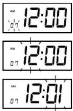 Pyramid Time Systems 2500 - 06-SET DAYLIGHT SAVING TIME - 2