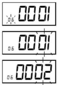 Pyramid Time Systems 2500 - 06-SET DAYLIGHT SAVING TIME - 1