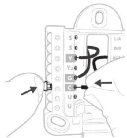 HONEYWELL RTH21B - Tirez doucement sur les fils pour vérifier qu'ils sont bien fixés. - 1