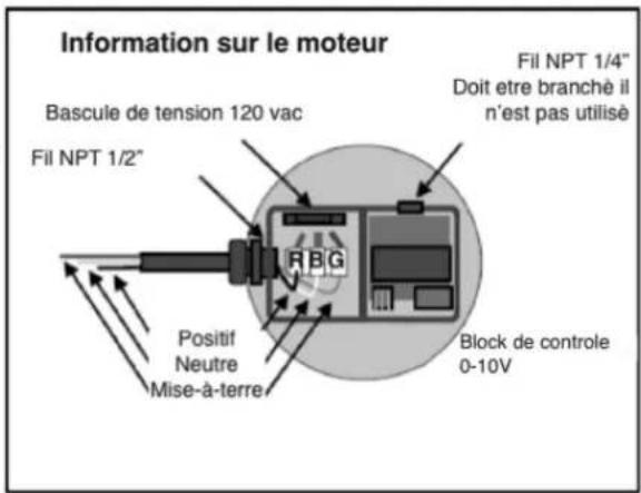 Canarm GSQ135-D - Alimentation en CA -- 120/208-230VAC - 4