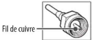 LG OLED55C5PUA - Antenne/cable - 1