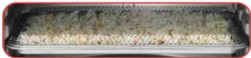 Gourmia GTF7970 - USING THE POPCORN FUNCTION - 2