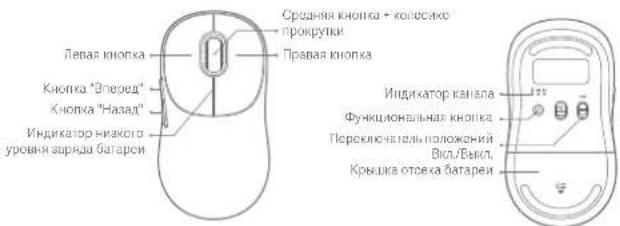 Xiaomi Wireless Mouse 3 - 1