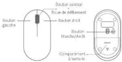 Bouton gauche Bouton central Roue de défilement Bouton droit Bouton Marche/Arrêt Compartiment à batterie