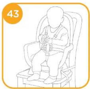 Joie Chestnut - Highchair Assembly - 36