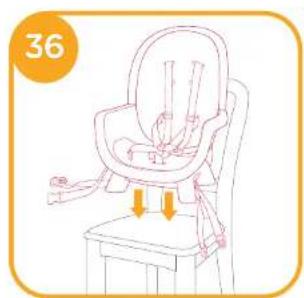 Joie Chestnut - Highchair Assembly - 33