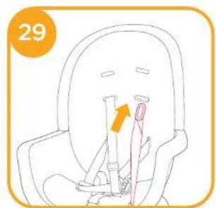 Joie Chestnut - Highchair Assembly - 20