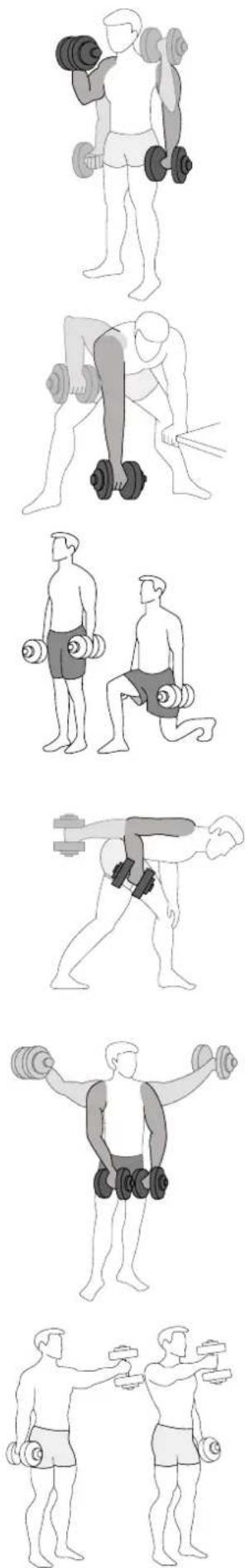 Sportstech AH150 - Front raises, alternately in the hammer grip - 1