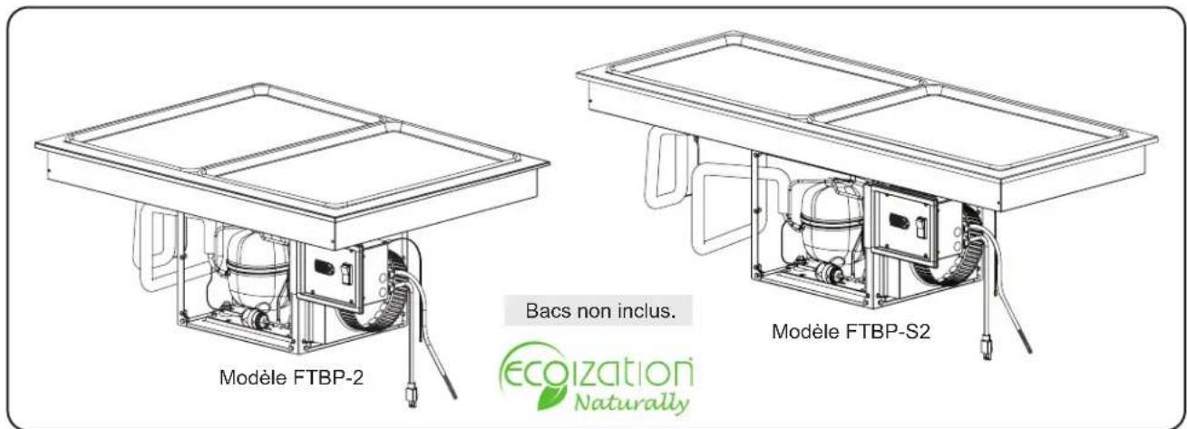 Modèle FTBP-2 Bacs non inclus. Modèle FTBP-S2 ecoization Naturally