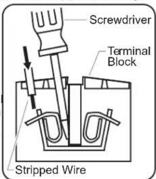 Hatco CWBP-6 - Electrical Connections - 1