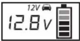 Cartrend DP4.0 - OBSŁUGA - 2