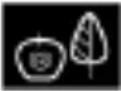 DE DIETRICH DOR4747 - • 5 MANUAL COOKING MODE - 5