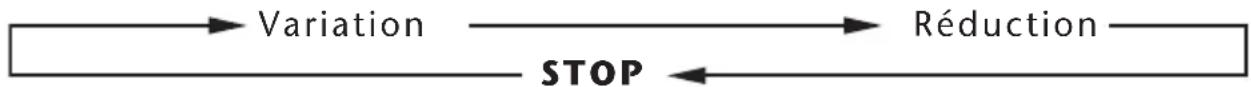 ROWENTA EOLE VU6050 - FONCTIONNEMENT MOD. VU6010 - 8